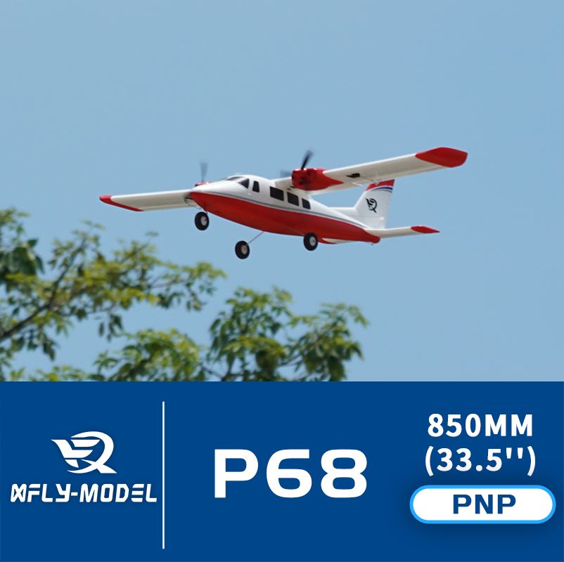 XFly Model 850mm P68 Twin Engi - огляд і ціна Rc Hobby Engine